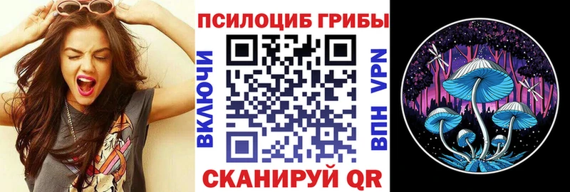 Галлюциногенные грибы GOLDEN TEACHER  Купить где  Усинск 